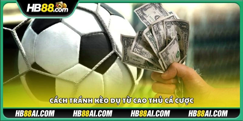 Cách tránh kèo dụ từ cao thủ cá cược